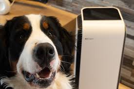 こどもの空気研究所 - ブルーエア空気清浄機