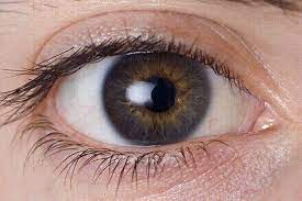 Eye Twitching: Causes And How To Stop It - All About Vision