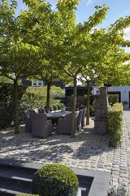 Pin By Anna On Garden Modern Garden Modern Garden Design Courtyard Garden