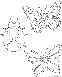 Download Two Butterflies And Ladybug Coloring Page Insects