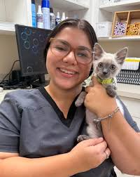 How adorable is Tofu?? 🩵🩵🩵 he is 12 weeks old 💙