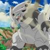 A large grey pokémon with a drill for a horn looked ready to fight. 1
