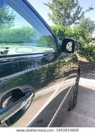 We did not find results for: Wing Mirror Car Damage From Crash Stock Photos And Images Avopix Com