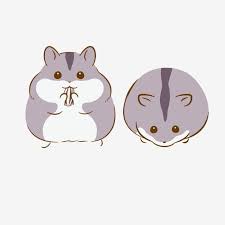 All png & cliparts images on nicepng are best quality. Hamster Gray Hand Painted Material Elements Hamster Clipart Hamster Grey Png And Vector With Transparent Background For Free Download Hamster Hamster Cartoon Whale Illustration