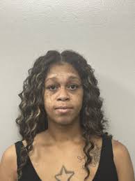 Chatham County arrest blotter: April 2024