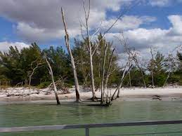 Whitney Beach Beer Can Island Gulf Coast Florida Beach Manatee County