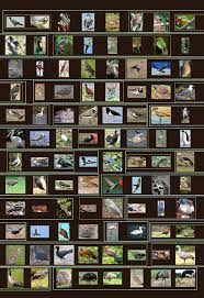 Shoes can be an accessory or a. Manasa Taramgini Mirror Of Old Manasollasa Jiva Dharma Vij Nana Itihasa Krida Page 6