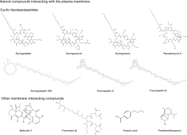 Natural compounds interacting with the plasma membrane Structural...