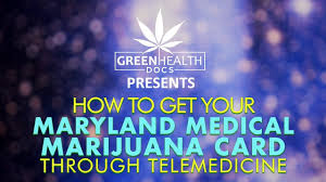 Getting or renewing a medical marijuana card in maryland has never been easier! Maryland Medical Marijuana Card Online Green Telemedicine