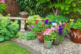 What flowers do well in partial shade. Plants For Shade Plants For A Purpose Thompson Morgan
