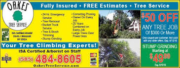 Get the best waterproof foundation installed in your home. Oakes Tree Service With Tree Removal Tree Trimming And Stump Grinding Coupons For Rochester Ny Free Estimate Tree Service Tree Removal Service Tree Removal