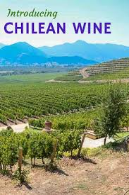A Pleasant Introduction To Chilean Wine From Laura Hartwig Travel Past 50 South America Travel Destinations South America Travel North America Travel