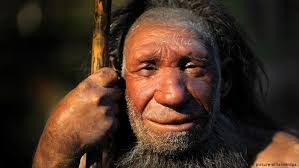 Neanderthal, one of a group of archaic humans who emerged at least 200,000 years ago in the pleistocene epoch and were replaced or assimilated by early modern human populations. Sex With The Neanderthal Science In Depth Reporting On Science And Technology Dw 22 06 2015