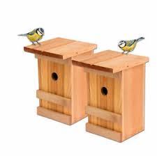 Maybe you would like to learn more about one of these? 2 Nistkasten Vogelhaus Holz Fur Vogel Meisen Nisthohle Vogelhauschen Set Hangend Ebay