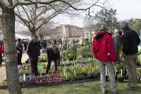 Plantes rares et de collection. Lauragais Plus De 40 Producteurs Au Marche Aux Plantes Rares Et De Collection De Castanet Tolosan Voix Du Midi Lauragais