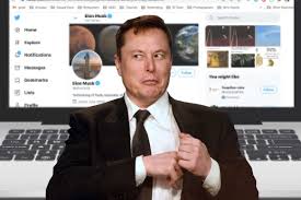 The billionaire tesla ceo tweeted a meme about a couple. Tesla Ceo Elon Musk Stole My Meme