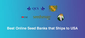 The selections were made based on the following factors 10 Reputable Seed Banks In The Us Top Best Online Seed Banks That Ship To The Usa In 2021