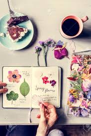 Place a heavy book on top of it. Book With Dry Flower Collection Vinatge Stock Photo Picture And Royalty Free Image Image 81424970