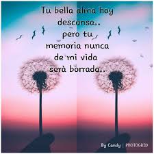 Los que amas no se van, caminan a nuestro lado todos los días, siempre cerca. 58 Ideas De Frases Para Esposo Fallecido Frases De Consuelo Frases Condolencias Frases