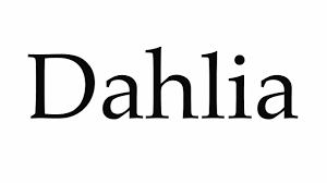 Watch in this video how to say and pronounce dahlia! How To Pronounce Dahlia Youtube