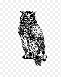 Lebar, cantik, dan indah banget bentuknya, seperti gambar di atas. Burung Hantu Buku Puisi Burung Hantu Kreatif Hewan Monokrom Png Pngegg