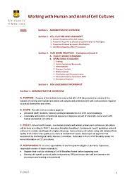 Are principally aimed at providing maximal. Appendix 7 Working With Human And Animal Cell Cultures With Ra Worksheet Pdf Cell Culture Viral Vector