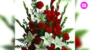 1000 beautiful beautiful flowers photos pexels free stock photos. Beautiful Flowers Best Whatsapp Dp And Whatsapp Status Shafeeque Gulshan Sg Youtube