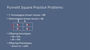Let's take a look at how punnet squares work using the yellow and. Understanding Inheritance Pedigrees Ppt Download