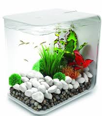 Biorb 15l Flow Aquarium 120usd Plastique Industriel Betta Fish Tank Biorb Fish Tank Aquarium