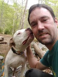 The trailie brothers at paws and play padock before a trip into Matlock.  Finally it's time to top up their tan with a bit of basking in the sun.