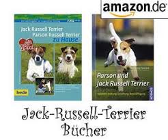 The jack russell terrier is a small terrier that has its origins in fox hunting in england. Jack Russell Terrier Hunde Wesen Temperament Erziehung Pflege