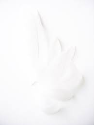 Pin By Flavia Vasconcelos On Whiteout Homestuck Paint Colors House Painting