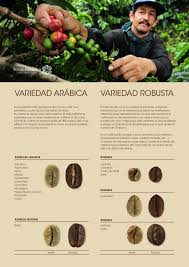 Free trial available for new and eligible returning subscribers. Diferencias Entre El Cafe 100 Arabica Y Robusta Coffee Cafe Coffee Beans Grinding Coffee Beans