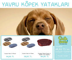 Yavru Kopek Ihtiyac Listesi