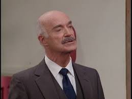 The Single Guy (TV Series 1995–1997)