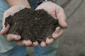 Our sales associates are trained yearly. Bulk Topsoil Full Scoop
