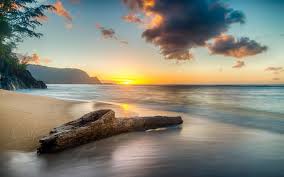 Please contact us if you want to publish an aesthetic. 1000 Best Sunset Mac Wallpapers Free Hd Download Allmacwallpaper