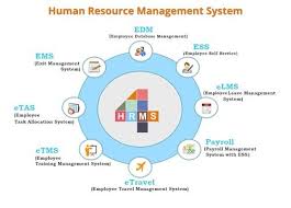 Fotolog Magazine 2020 Human Resources Human Resource Management Human Resource Management System