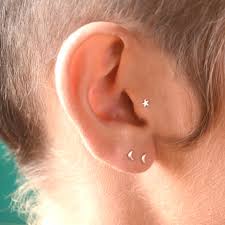 Image result for Tragus koelerioides