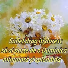 Scris pe septembrie 4, 2015 comentează. O DuminicÄƒ BinecuvantatÄƒ