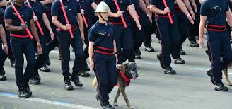 Exceptions à paris et marseille : Jennifer Maitre Chien A La Brigade Des Sapeurs Pompiers De Paris 14 Juillet Le Ministere Defile 2019 Actualites Archives Des Actualites Archives Ministere De L Interieur