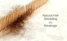 It uses your natural hair so everything matches well. Natural Hair Shedding Vs Breakage Mahogany Hair Revolution