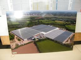 Adieu régime trop dur et coaching tortu. 06 Avril 2017 Visite Des Serres Pouliquen De La Cactuseraie De Creismeas Et De Saveol Nature Les Photographies Amis Et Anciens De L Etoile Saint Roger