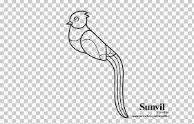 Auriceps), the resplendent quetzal (p. Guatemala Resplendent Quetzal Coloring Book Golden Headed Quetzal Png Clipart Angle Area Arm Beak Bird Free