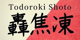 Todoroki Shoto Name In Japanese Kanji And Meaning My Hero Academia In 2021 Japanese Names My Hero Academia Japanese Kanji