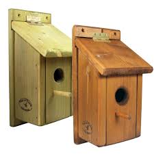 Image result for Flyte Blackbird Nest Box