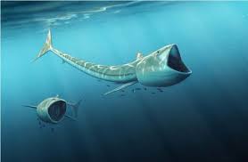 Ancient Fish Rhinconichthys Used Big Mouth To Swallow Planktons In Cretaceous Period Oceans Ancient Fish Prehistoric Prehistoric Animals