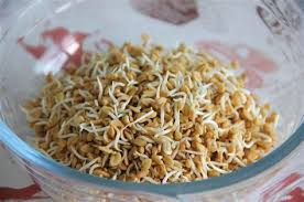 Ternyata bawang putih mempunyai manfaat bawang putih berkhasiat untuk meningkatkan libido => meskipun bau dari bawang putih sangat menyengat, jika lapisan atas yang dikupas itu dapat. Khasiat Halba Untuk Lelaki Wajib Tau Inilah 15 Manfaat Dan Khasiat Biji Halba Untuk Menjadi Amalan Kuno Tabib China Untuk Rawatan Mati Pucuk Spucixet