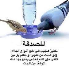 دفع حب فعل الخير والسعي لنيل أجر (سقيا البشر والطير) وخاصة هذه الأيام الحارة العديد من الأشخاص للاجتهاد والإبداع والتنافس في أعمال الخير وسقيا الإنسان والكائنات الحية من الطيور والقطط وغيرها وأصبحت العديد من المواقع. Ø§Ù†ØªÙØ§Ø® Ù‡Ø±Ø¨ Ø§Ù„Ø®Ø±Ø³Ø§Ù†Ø© Ø³Ù‚ÙŠØ§ Ø§Ù„Ù…Ø§Ø¡ Ù„Ù„Ø·ÙŠÙˆØ± Afiabglamnstyle Com