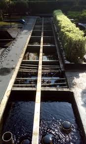 The enterprise operates in the construction of buildings industry. Alocasia Landscape Design And Construction Home Facebook